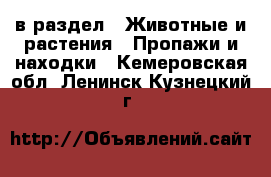  в раздел : Животные и растения » Пропажи и находки . Кемеровская обл.,Ленинск-Кузнецкий г.